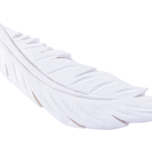 Decoratie veer gips met plakker, wit (2st)
