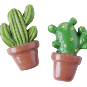 Cactussen met plakker (2st)
