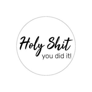 Stickers holy shit you dit it (5st)