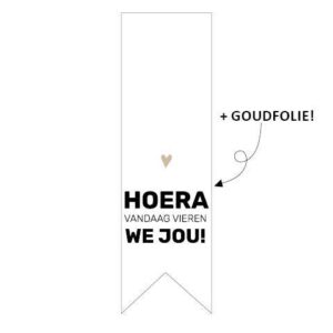 Sticker vaantje 'hoera vandaag vieren we jou' (10st)