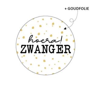 Stickers 'hoera zwanger' (10st)