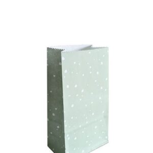 Kraft blokzak - S mint (5st)