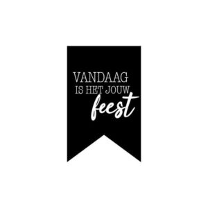 Stickers I vandaag is het jouw feest (10st)