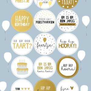 Stickervel I verjaardag (15st)
