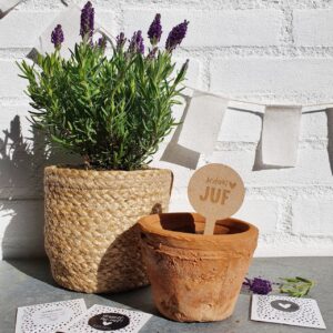 Plantensteker I Bedankt juf