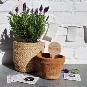 Plantensteker I Bedankt meester