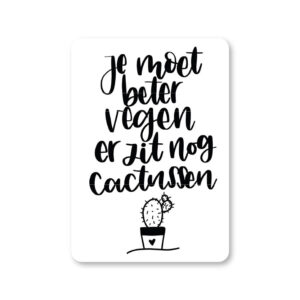Ansichtkaart I Je moet beter vegen er zit nog cactussen