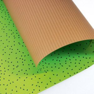 Inpakpapier I kiwi