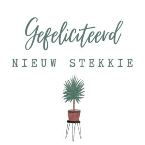 Mini kaartje I nieuw stekkie