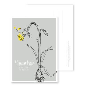 Ansichtkaart I Nieuw begin (narcis)