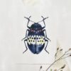 Ansichtkaart I Beetle blue - Afbeelding 2