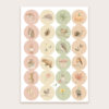 Stickervel I Appeloogje aquarel winter (24st)
