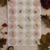 Stickervel I Appeloogje aquarel winter (24st) - Afbeelding 2
