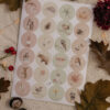Stickervel I Appeloogje aquarel winter (24st) - Afbeelding 4