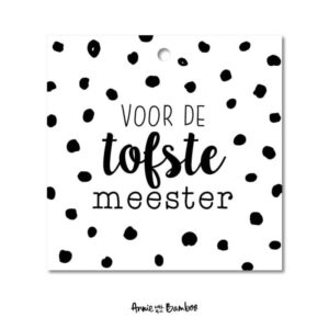 Mini kaart I Voor de tofste meester cadeaulabel