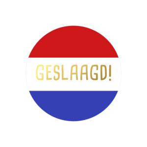 Stickers I geslaagd (5st.)
