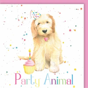 Kaart I Cockapoo hond
