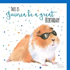 Kaart I Happy birthday cavia