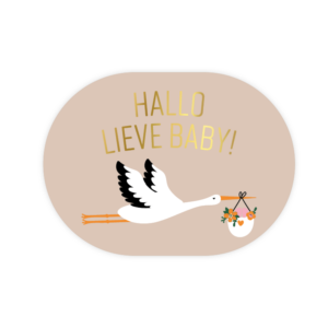 Stickers I hallo lieve baby (5st)