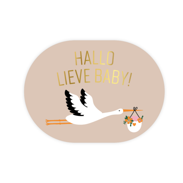 Stickers I hallo lieve baby (5st)