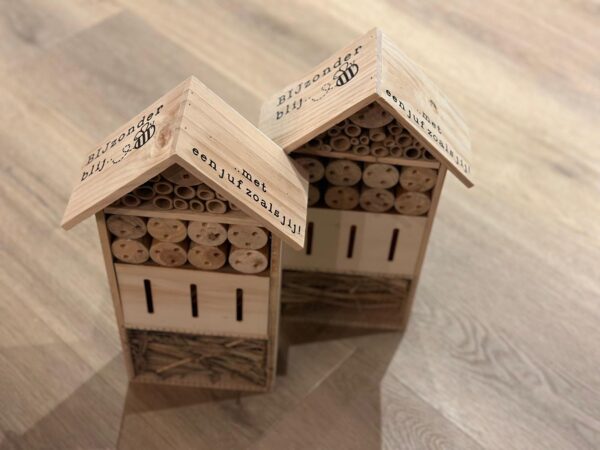 Insectenhotel I L - Afbeelding 3