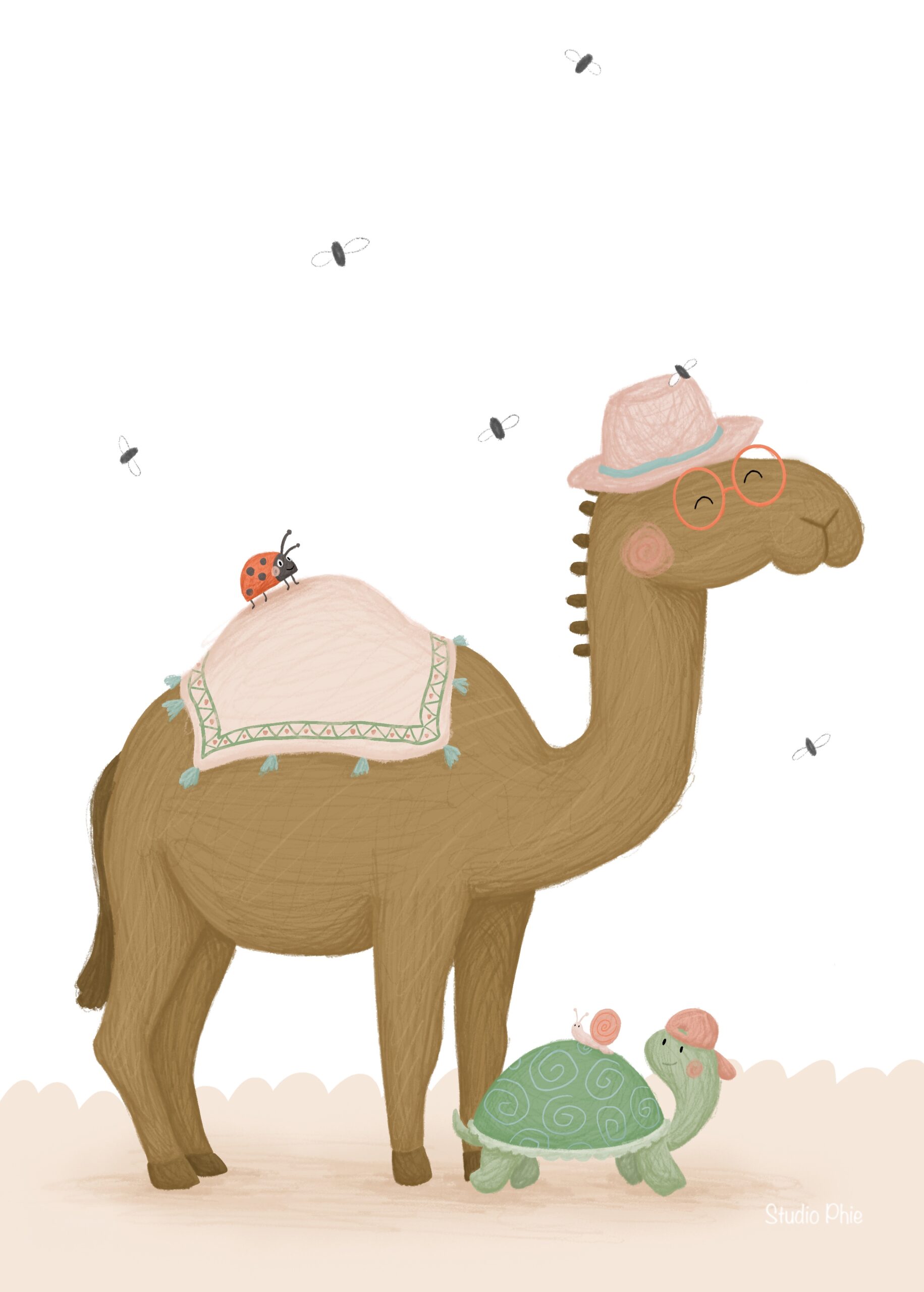 Kaart I Dromedaris StudiePhie