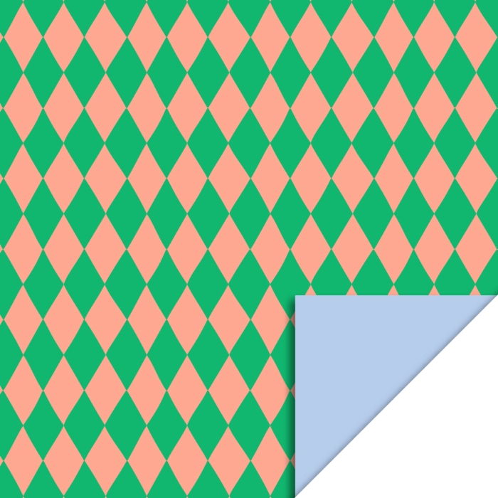 Inpakzakje I Harlequin Green/Salmon Light Blue I L (5st) - Afbeelding 2